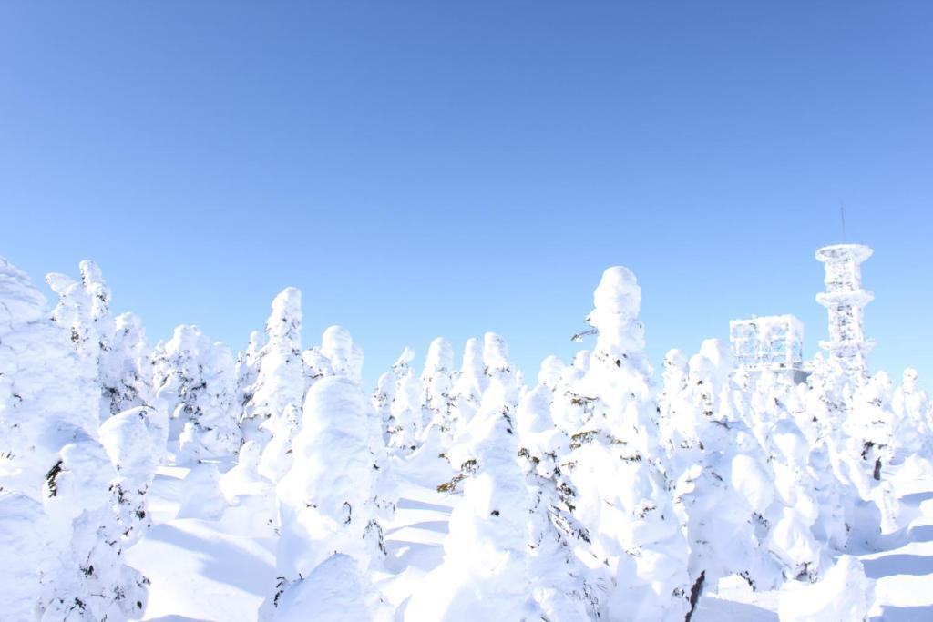 Готель Aspen Shiga Яманоуті Екстер'єр фото